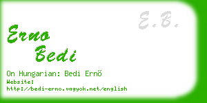 erno bedi business card